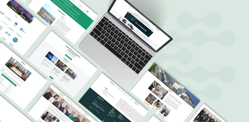 Conexus, Full Rebrand and Repositioning